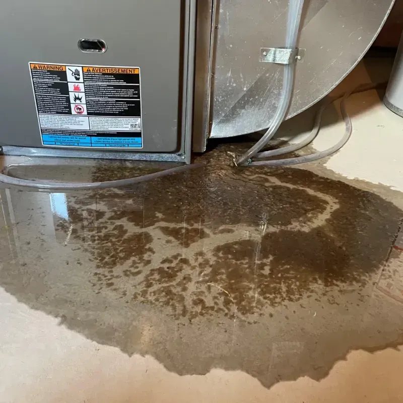 Appliance Leak Cleanup in Holyoke, CO